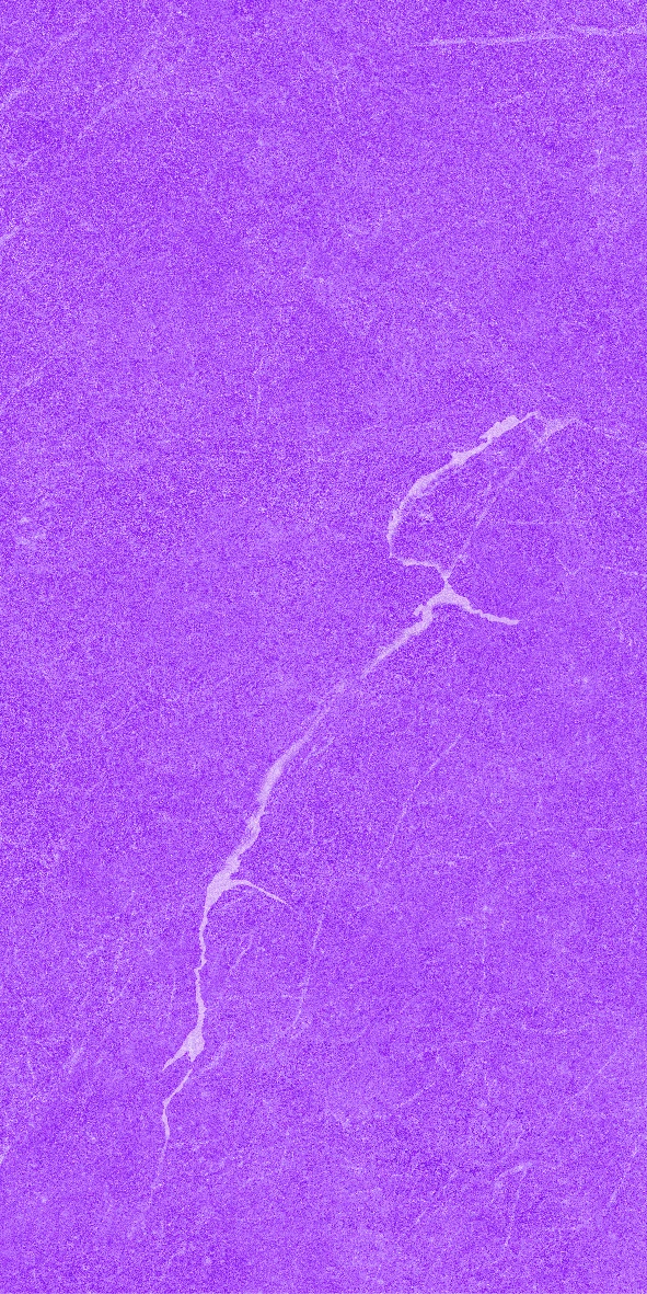 face 8